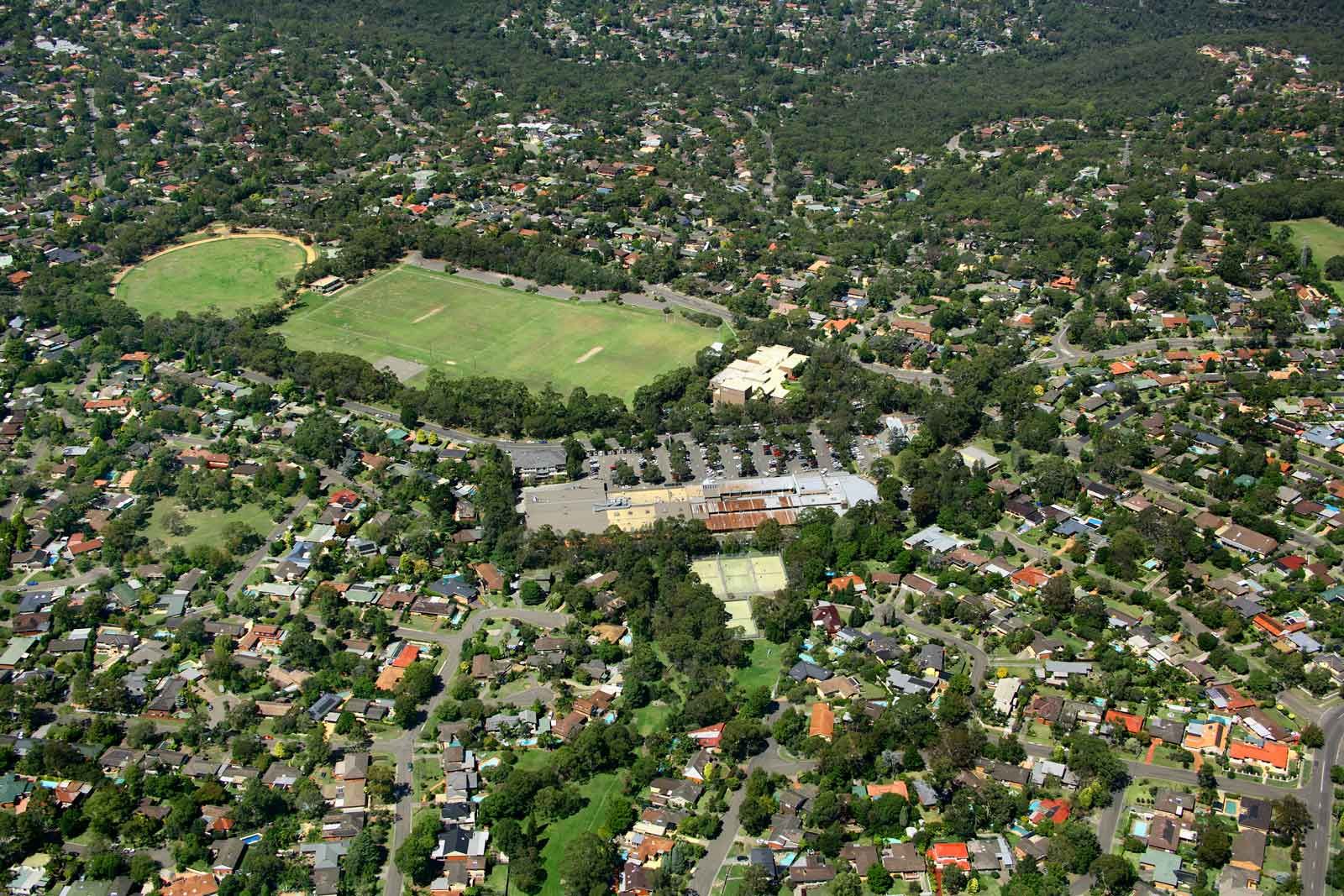Aerial view of a leafy Northern Beaches suburb