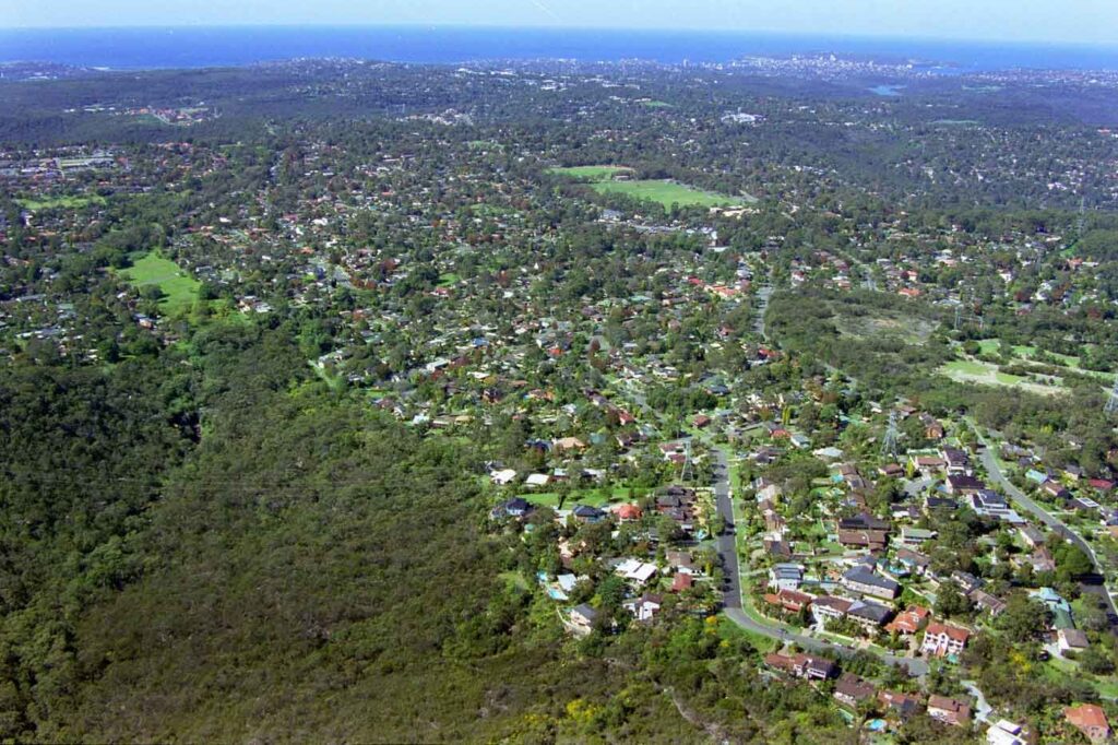 Aerial view of bushland and homes on the Northern Beaches